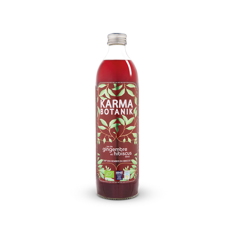 Jugo Jengibre 500ml ECO